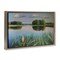 Stupell Industries Serene Marsh Reflection Floating Frame, design by Violeta Vollmer